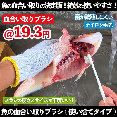 魚の血合い取りブラシ(使い捨てタイプ)